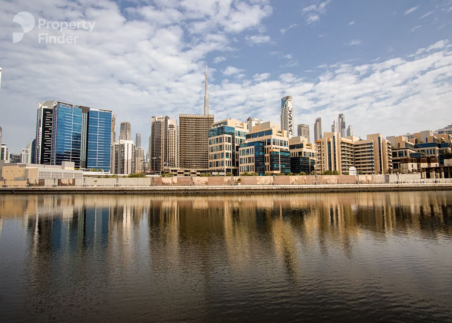 الصورة 12 من 12