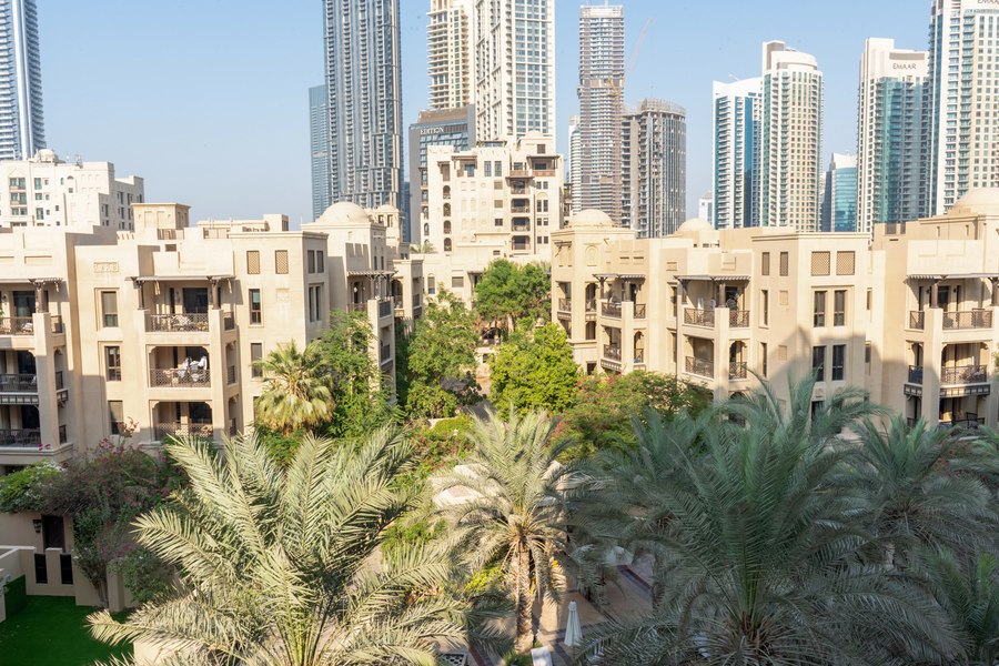 الصورة 26 من 26