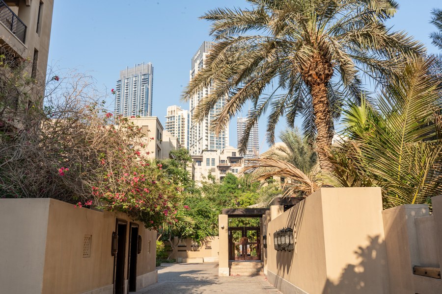 الصورة 25 من 26