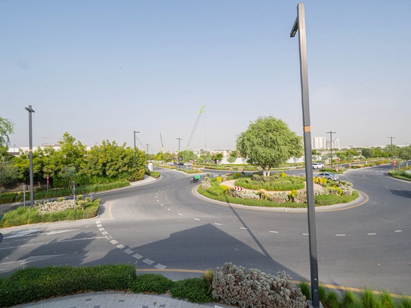 الصورة 10 من 25