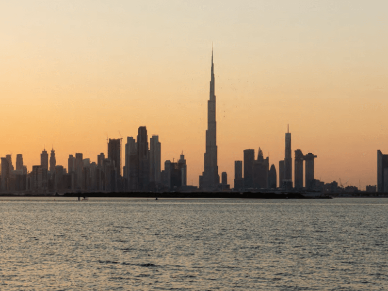 الصورة 2 من 10