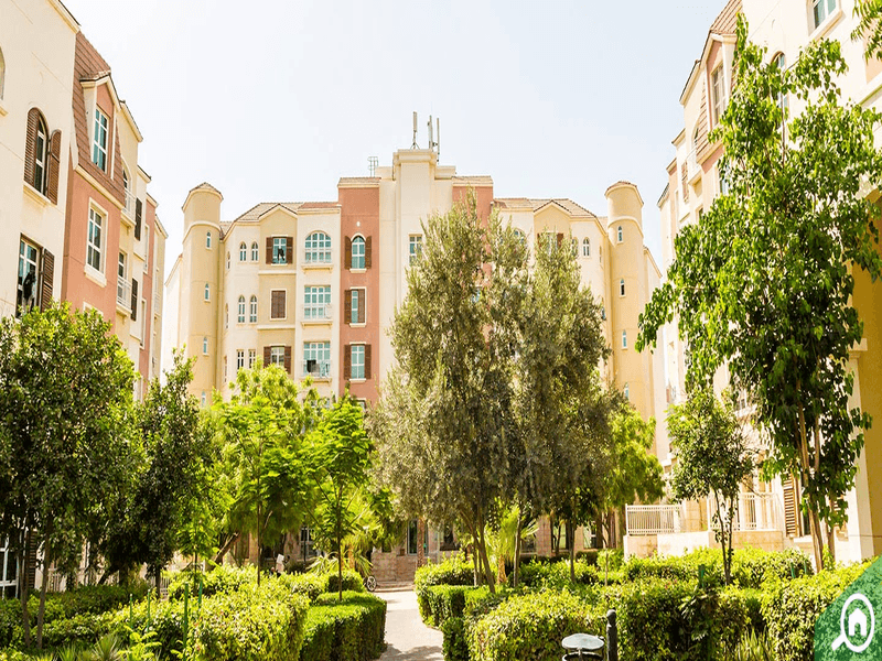 الصورة 9 من 10