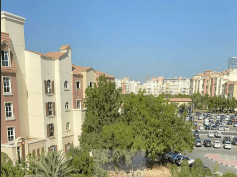 الصورة 10 من 10