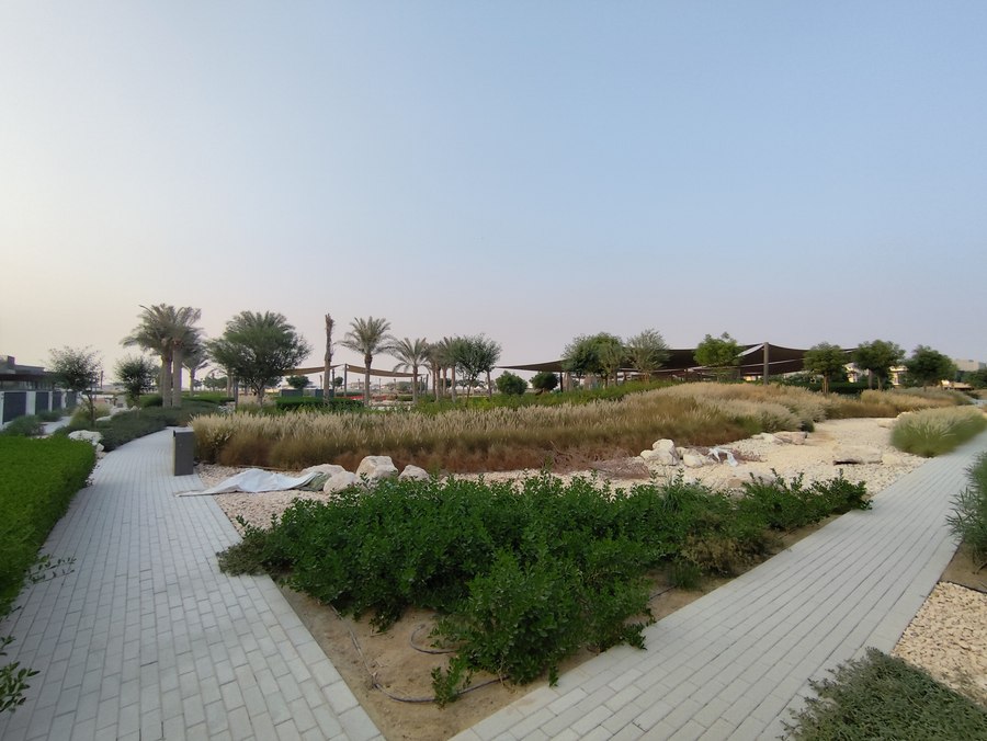 الصورة 17 من 25