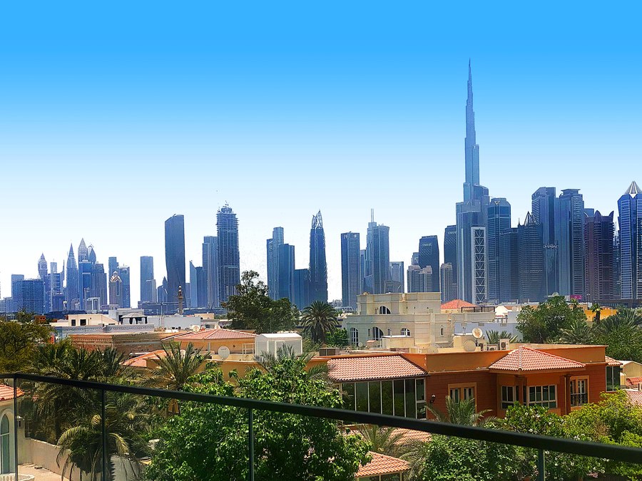 الصورة 7 من 10
