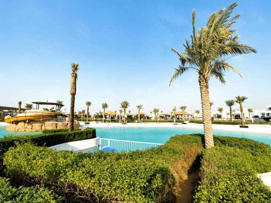 الصورة 19 من 19