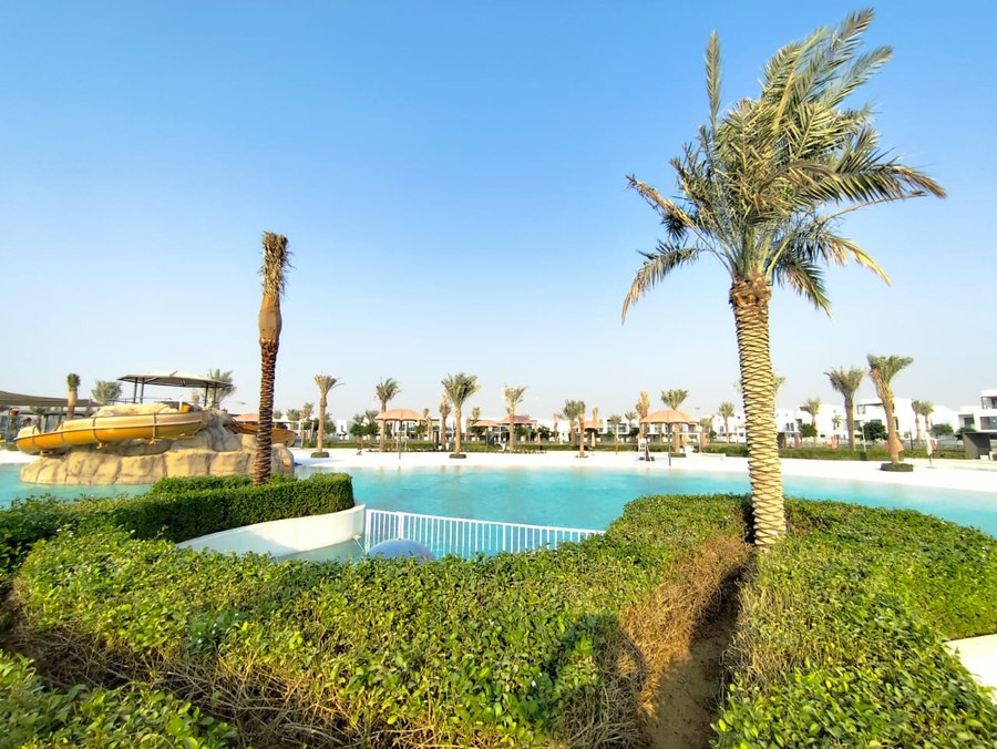 الصورة 13 من 13