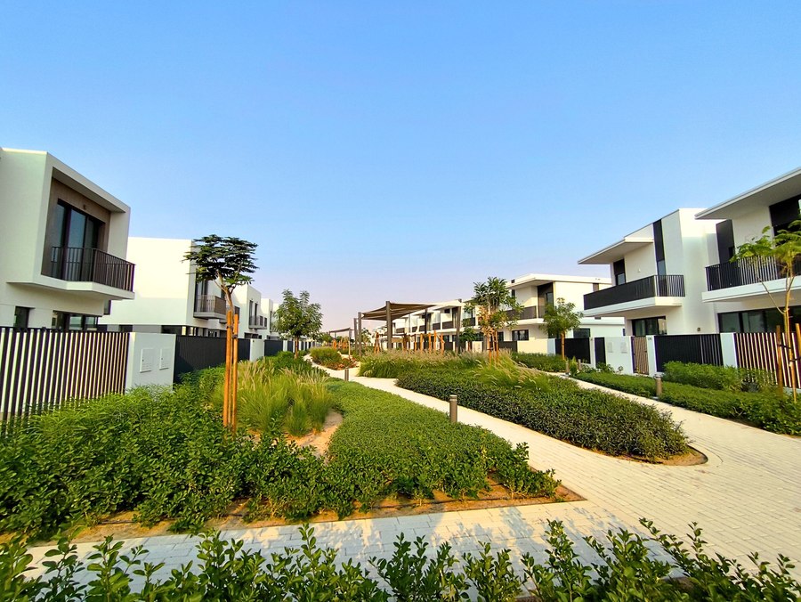 الصورة 34 من 35