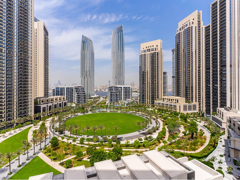 الصورة 1 من 17
