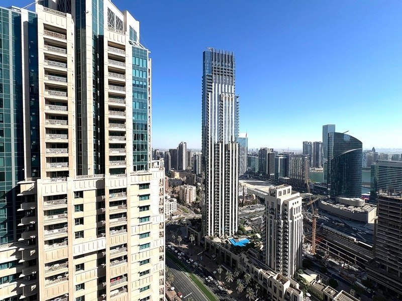 الصورة 2 من 10