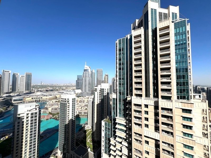 الصورة 9 من 10